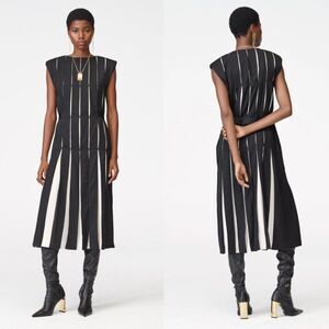 Zara Wool Blend Box Pleat Dress Black White Small Limited Edition A/W 2023 NWT